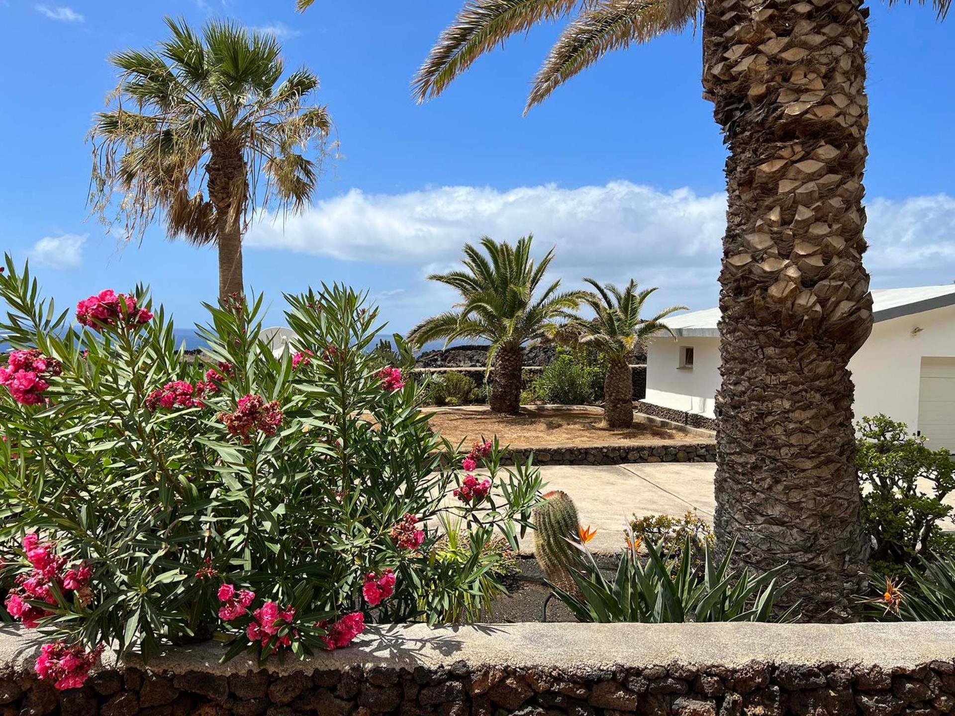 Finca Afortunada Las Puntas Quarto foto